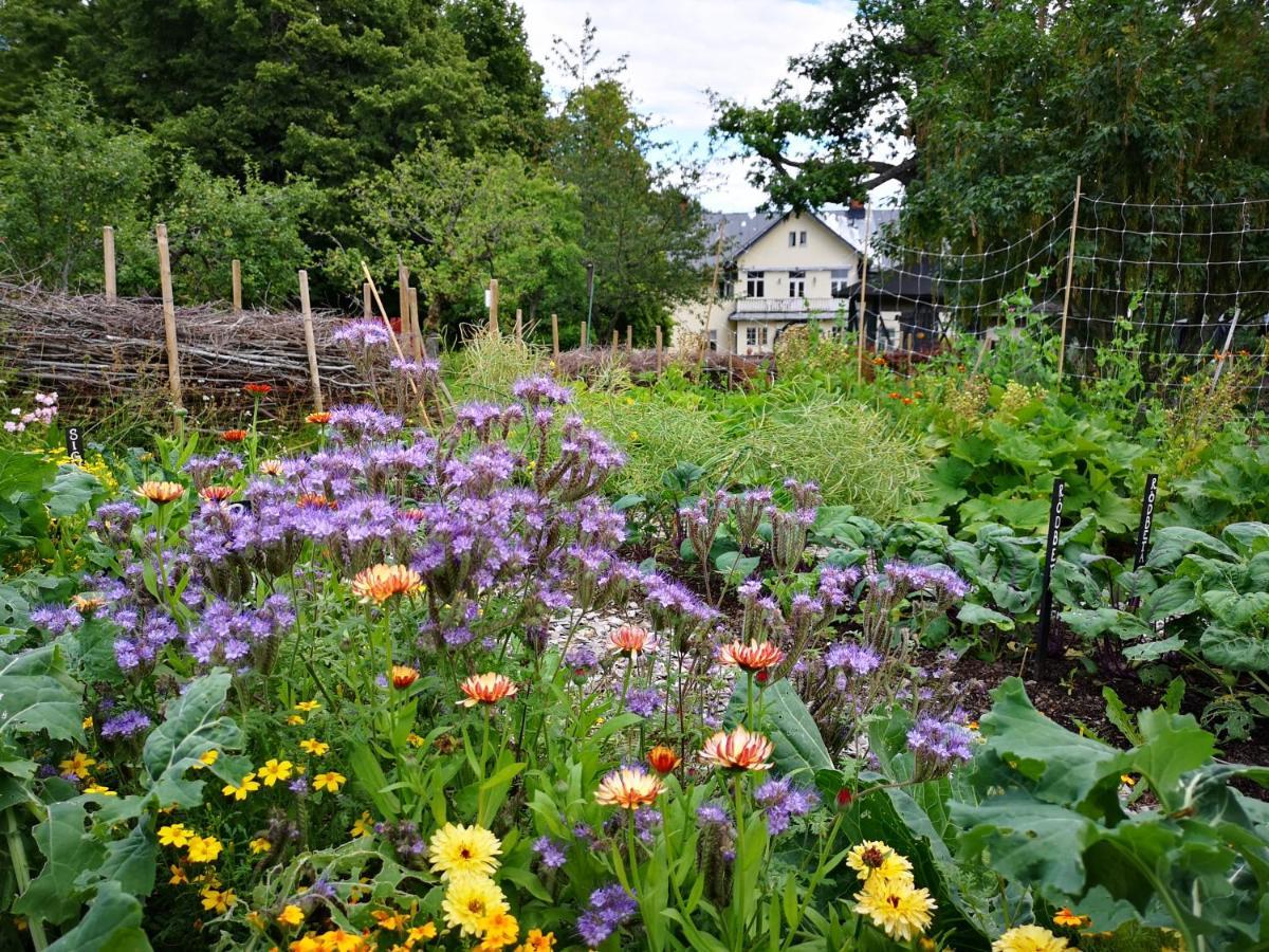 Disponentparken Café och Bed&Breakfast Grängesberg Exterior foto